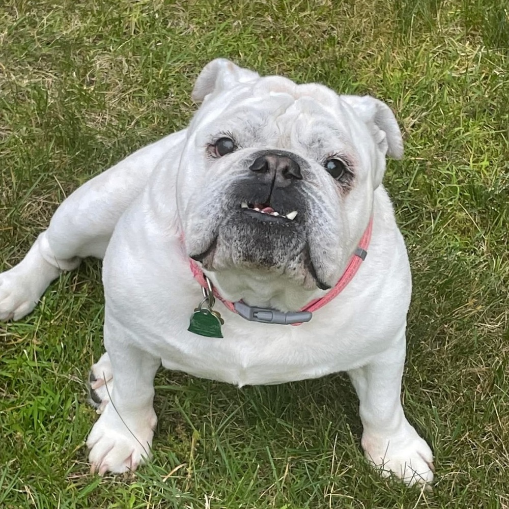 Meet your Posher, Christel